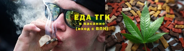мдпв Богородск