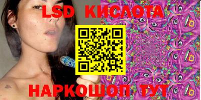 крисы Абакан