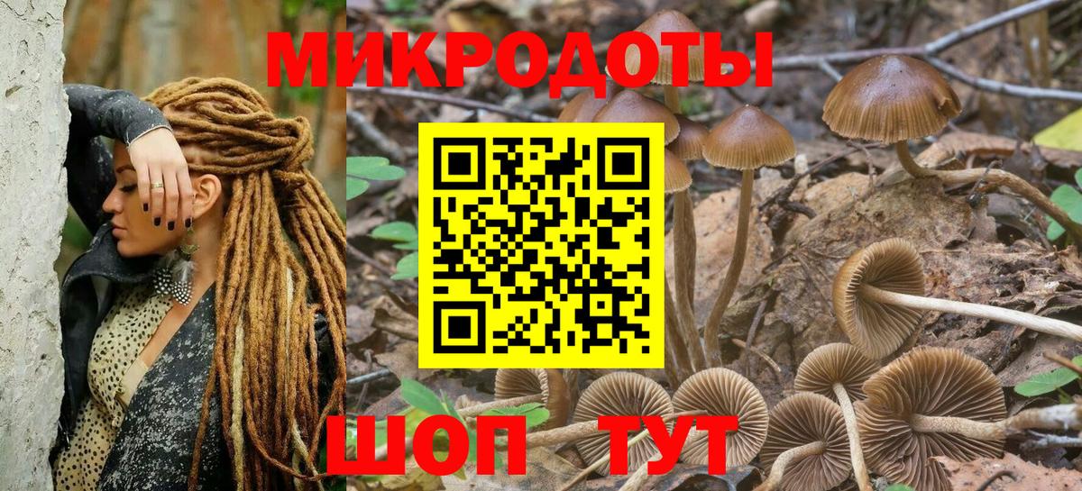 Галлюциногенные грибы Cubensis  Вход с VPN  Верхняя Пышма  Псилоцибиновые грибы Psilocybine cubensis 
