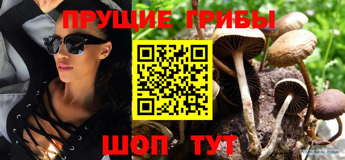 COCAIN  Меф МЯУ МЯУ кристаллы  Марихуана  Кодеин  A-PVP СК кристаллы  Верхняя Пышма  МЕФ   Гашиш  НБОМе 