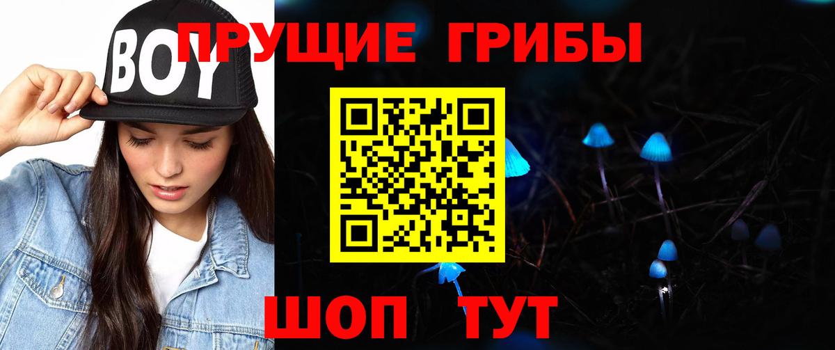 Псилоцибиновые грибы прущие грибы Верхняя Пышма