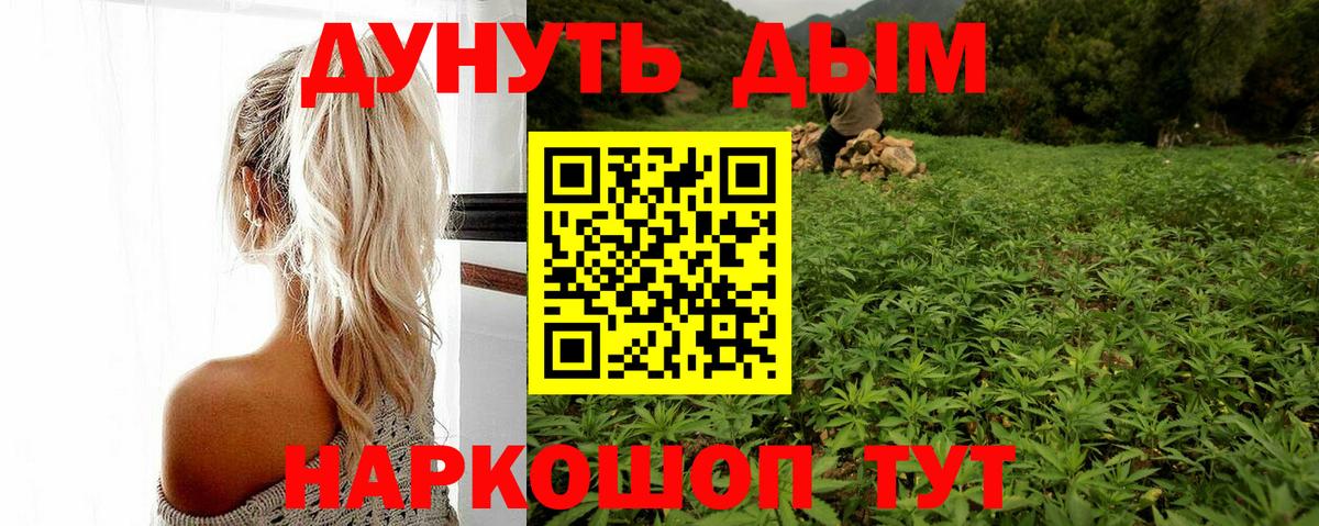 Канабис сатива  Бошки марихуана AK-47  Каннабис план  Верхняя Пышма  МАРИХУАНА планчик 